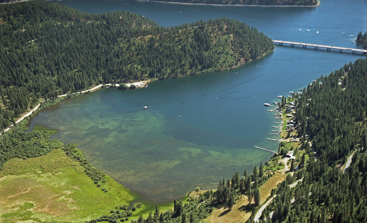 Forested shoreline and blue water at Blue Creek Bay, Lake Coeur d’Alene